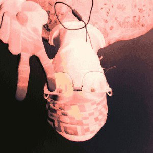 To fly 