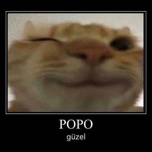 biz erkek sikmiyoruz.