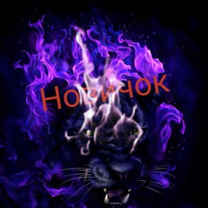 Новичок