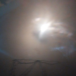 ROBERT woods - ###WHAT I AM