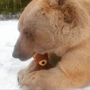 Орлёнок Дяди Феди