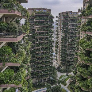 Concrete jungle