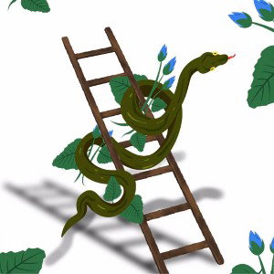 Snakes and ladders 
