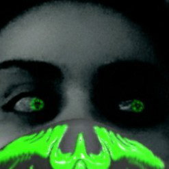 Paranoid Schizophrenic.