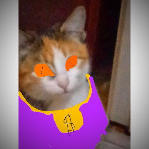я выбираю сам