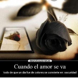 🔥amor que se va no vuelve🔥