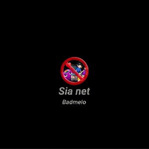 sia net