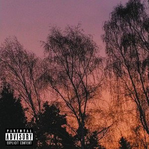 feature mit soulssleep und TheRealiSH
