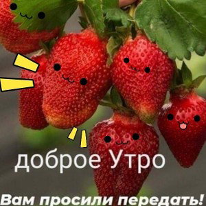 Порабила228))#_# 10.06.2020 20:50