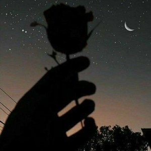 🌹Para ti🌹