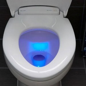 toilet