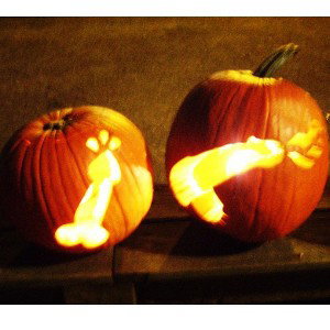Trick Or Treat