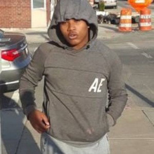 lil ant-fazoworld