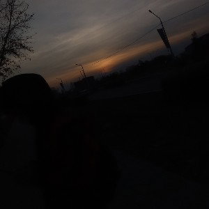 МОГИЛА 