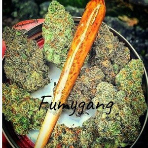 pa Lante voy a seguir.FumyGang