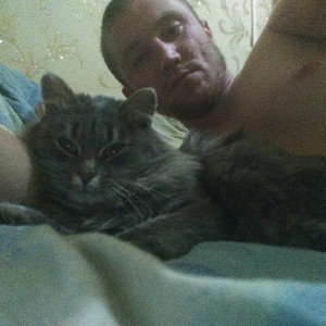 Про моего кота(Demo)