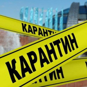Я на карантінє я круче всех