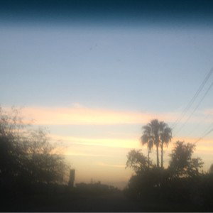 Vibe GT
FLORYBEATS (01:07)