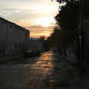 BLACK FOX - Culpa