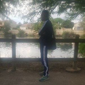 la puissance 