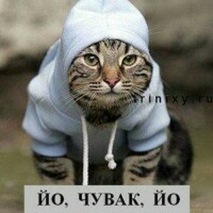The Chainsmokers – dolami down