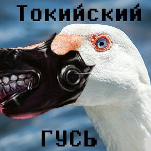 Дисс на Ťøķýõ gus