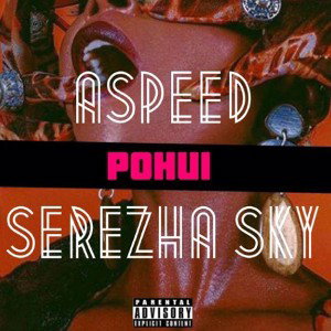 Aspeed & Serezha Sky - ПОХ*Й