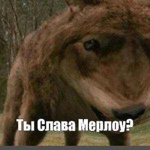трахну и брошу