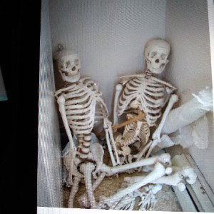 THE SKELETONS ARE TELLING EVERYONE 