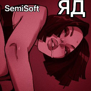 SemiSoft- ЯД