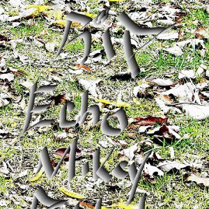 rffreestyle1