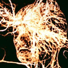 Through_the_Fire