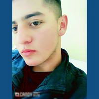 todo griss