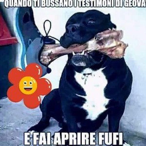Non mollate mai
