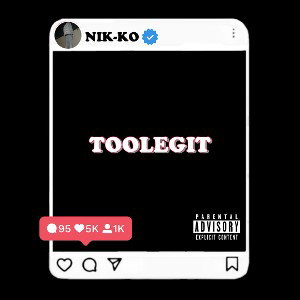 NIKKO-TOOLEGIT 