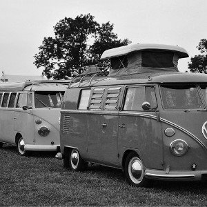 Hippy Dippy 