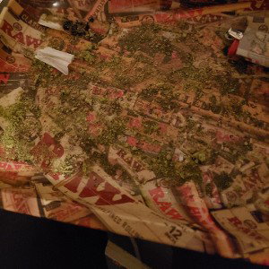 Neva By Da Indica 