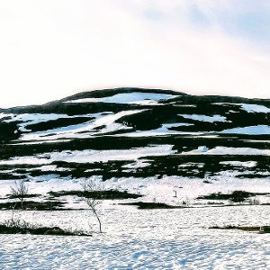 danne