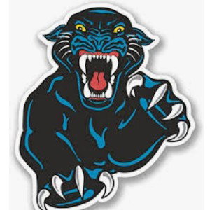 Black Panthers