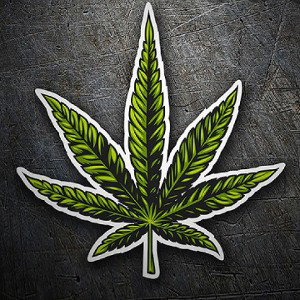 High ganz allein 