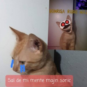majin sonic vs rubio triste