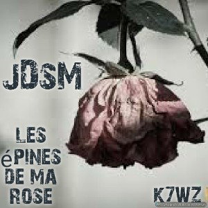 les épines de ma rose