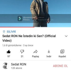 Sedat RON Ne İstedin ki Sen? (Official Audio)