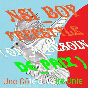 NSI_BOY_FREESTYLE_(on_a_besoin_de_paix)_prod_by_nsi_boy