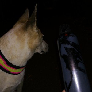 GeilAbendrundenFreestyle