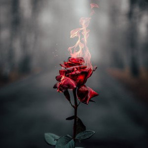 Dlatchy- Private Show