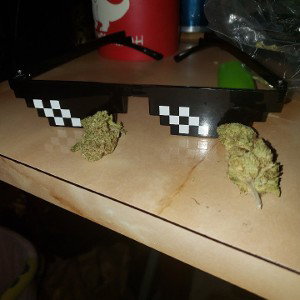 top notch