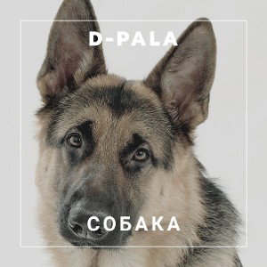 Собака