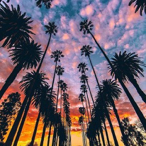 west coast 