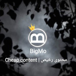 Cheap content | محتوى رخيص - BigMo™
